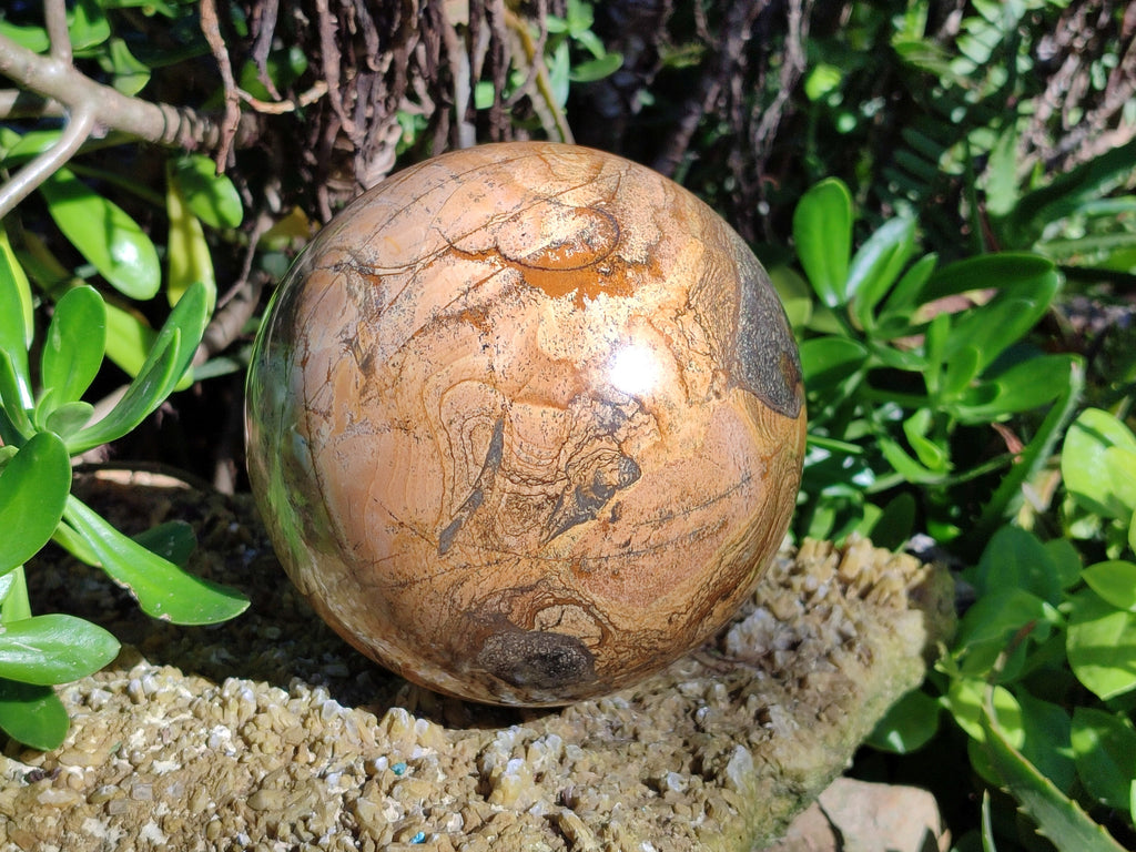 Polished Picturestone Jasper Sphere x 1 From Northwest Coast, Madagascar - Toprock Gemstones and Minerals 