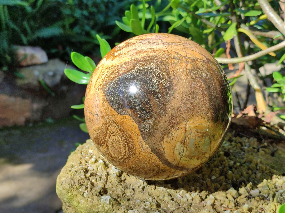 Polished Picturestone Jasper Sphere x 1 From Northwest Coast, Madagascar - Toprock Gemstones and Minerals 