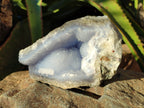 Natural Blue Lace Agate Geodes x 3 From Nsanje, Malawi - Toprock Gemstones and Minerals 