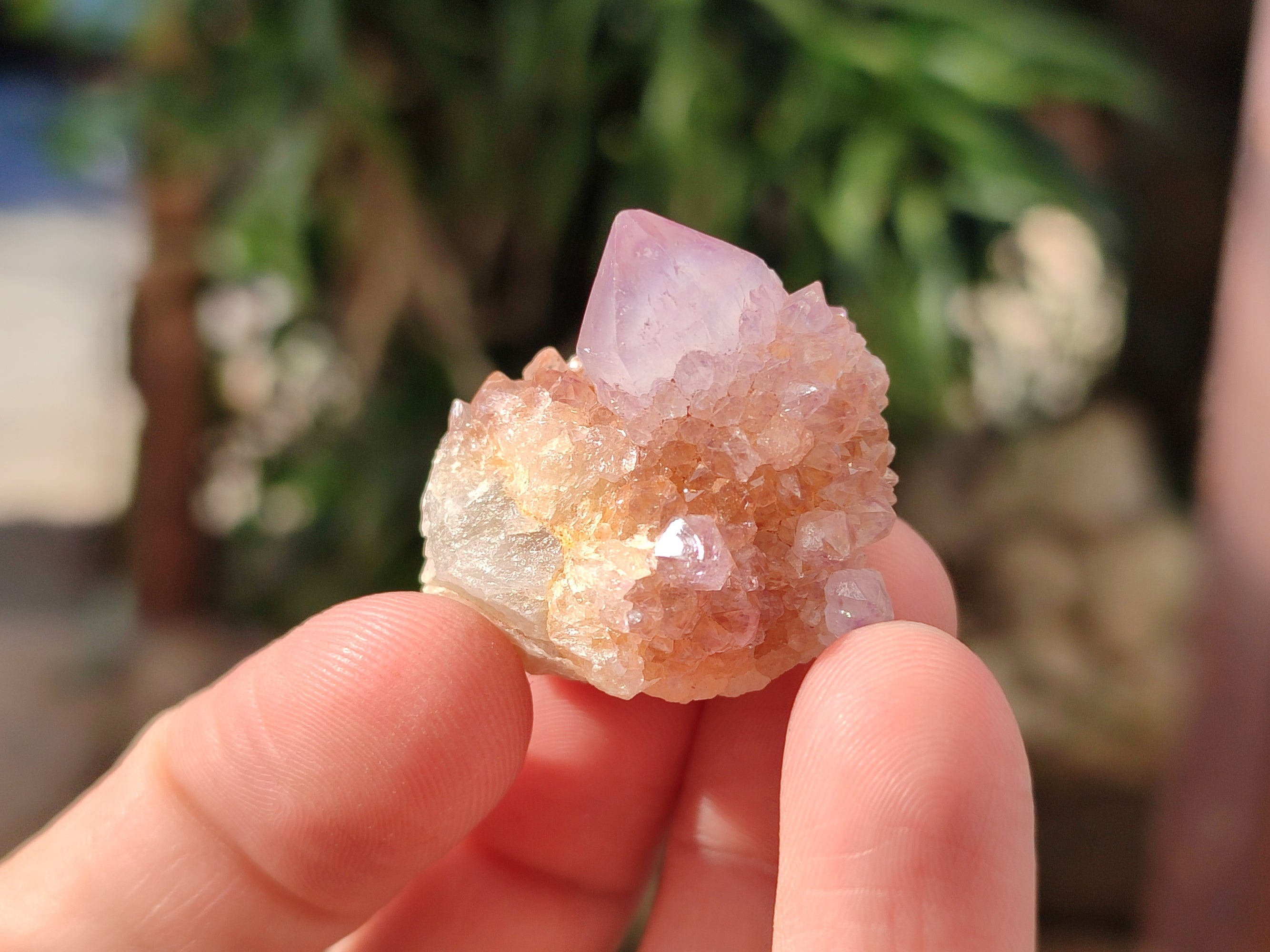 Natural Sunburst Amethyst Spirit Quartz Clusters x 70 From South Africa - Toprock Gemstones and Minerals 