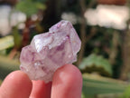 Natural Sunburst Amethyst Spirit Quartz Clusters x 70 From South Africa - Toprock Gemstones and Minerals 
