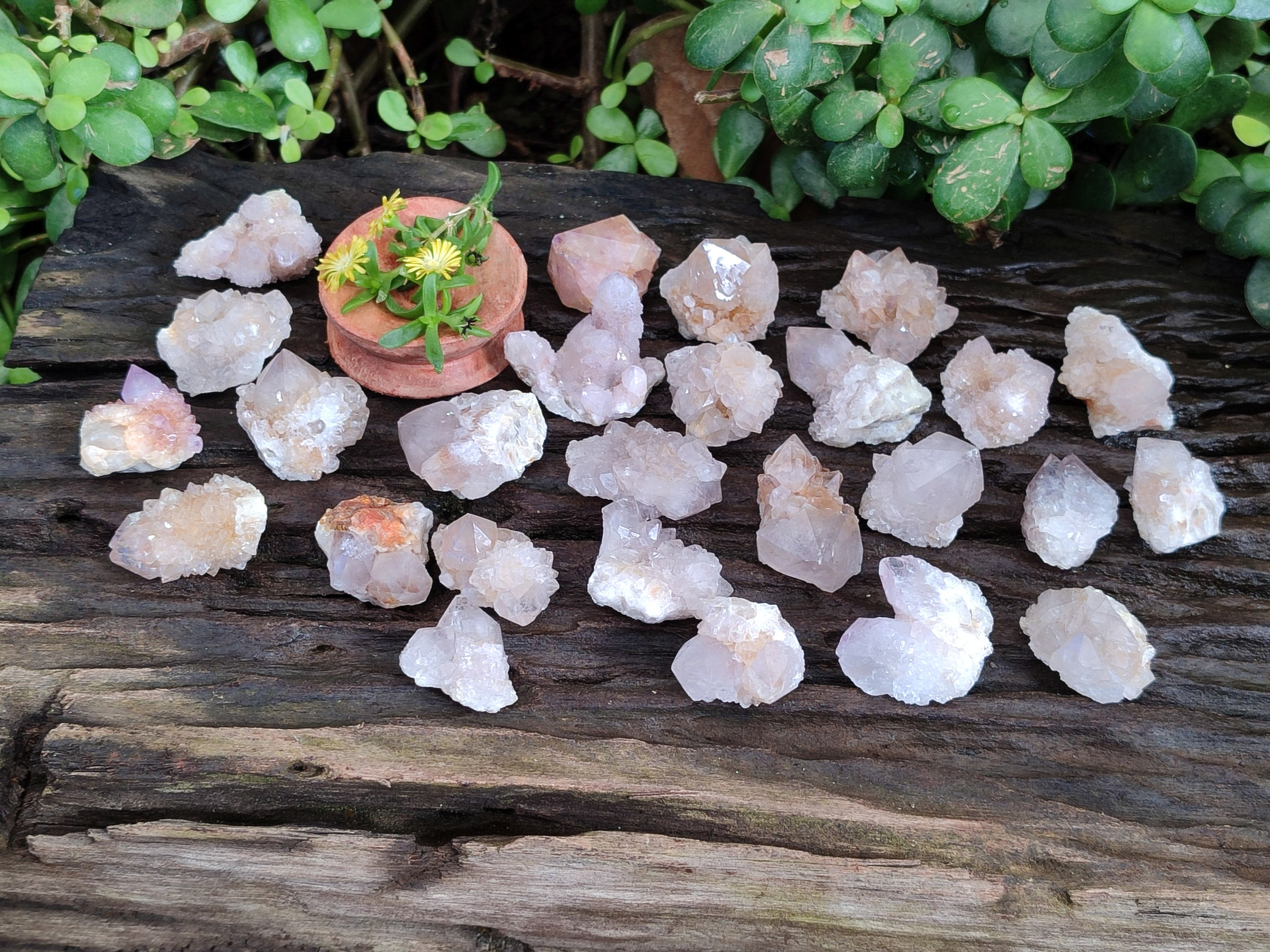 Natural Sunburst Amethyst Spirit Quartz Clusters x 70 From South Africa - Toprock Gemstones and Minerals 