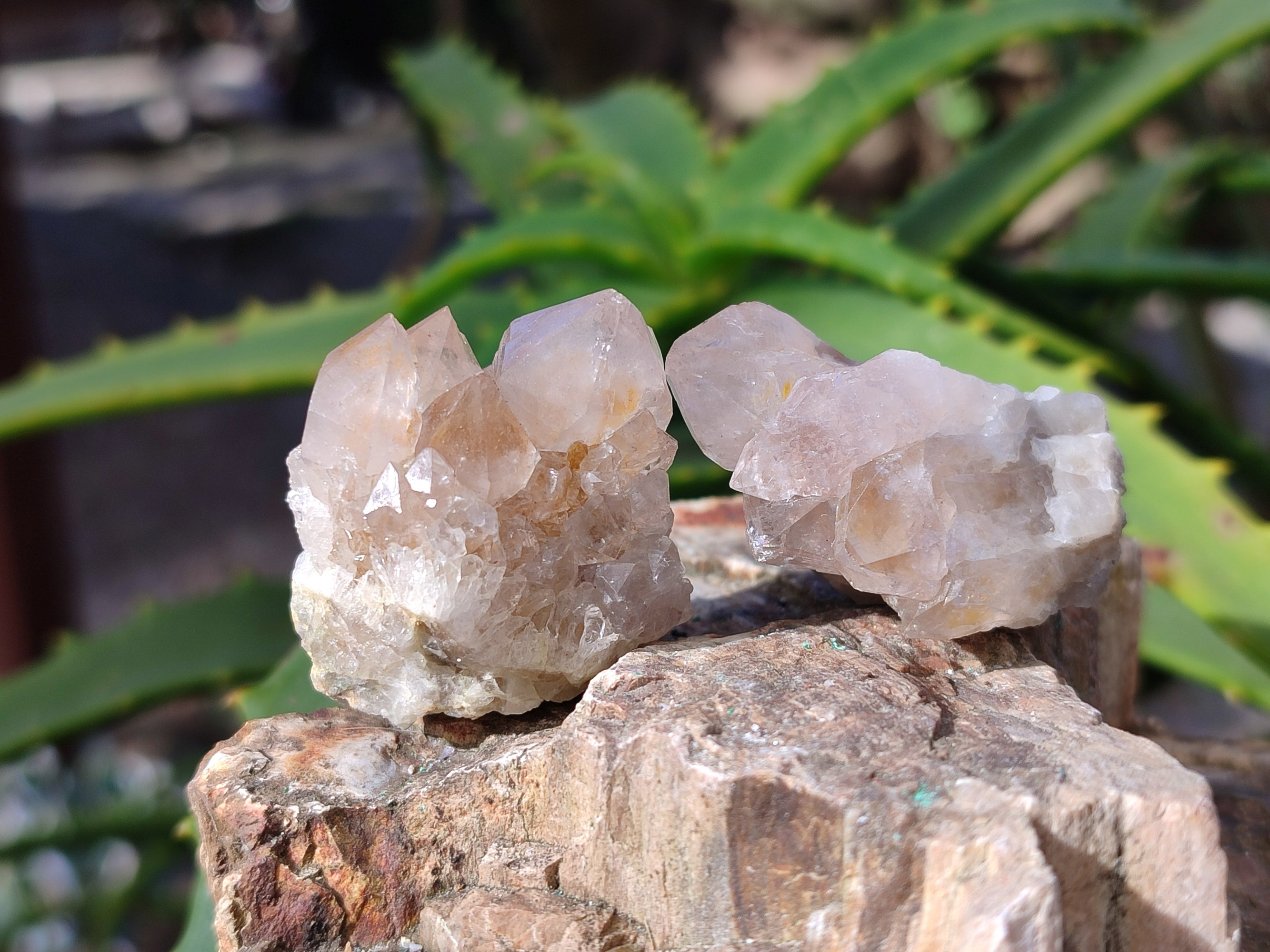 Natural Sunburst Amethyst Spirit Quartz Clusters x 70 From South Africa - Toprock Gemstones and Minerals 