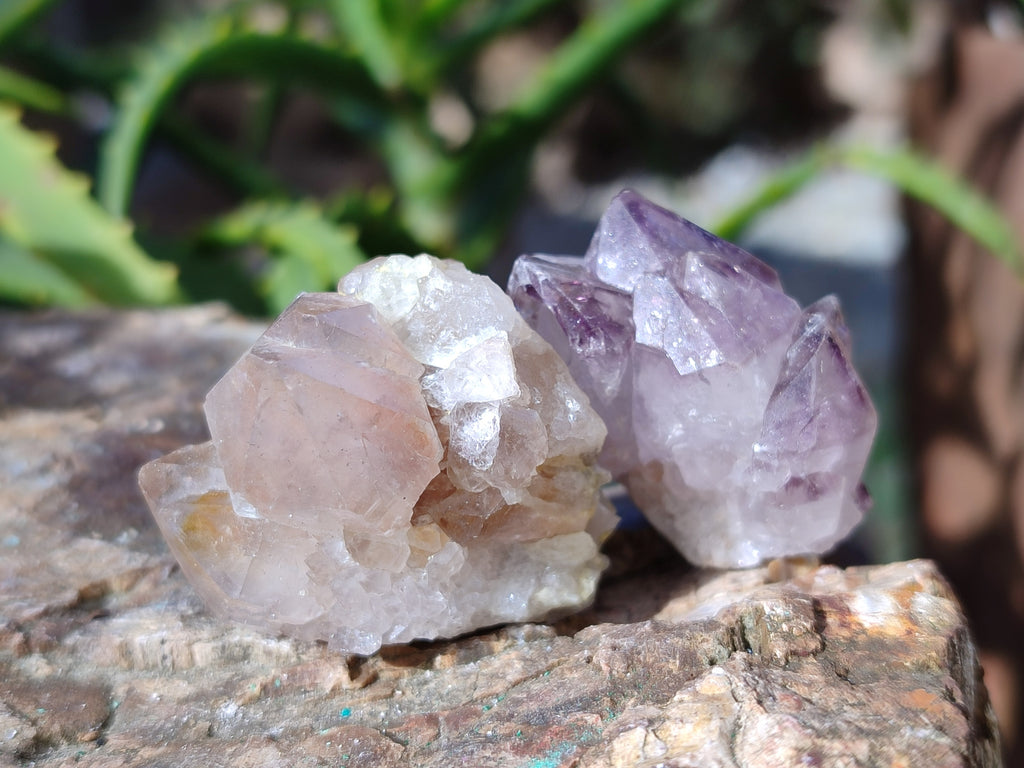 Natural Sunburst Amethyst Spirit Quartz Clusters x 70 From South Africa - Toprock Gemstones and Minerals 