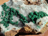 Natural Ball Malachite and Drusy Quartz On Dolomite Matrix Specimens x 2 From Kambove, Congo