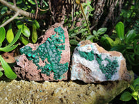 Natural Ball Malachite and Drusy Quartz On Dolomite Matrix Specimens x 2 From Kambove, Congo