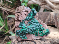 Natural Ball Malachite and Drusy Quartz On Dolomite Matrix Specimens x 2 From Kambove, Congo