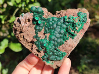 Natural Ball Malachite and Drusy Quartz On Dolomite Matrix Specimens x 2 From Kambove, Congo