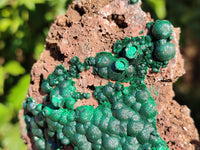 Natural Ball Malachite and Drusy Quartz On Dolomite Matrix Specimens x 2 From Kambove, Congo