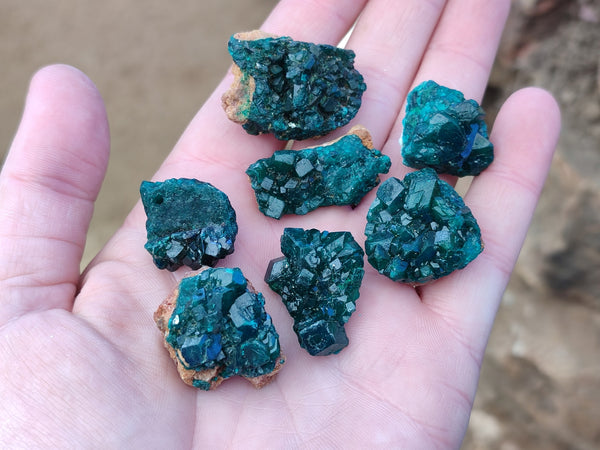 Natural Small Dioptase On Dolomite Specimens x 20 From Likasi, Congo