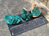 Natural Small Dioptase On Dolomite Specimens x 20 From Likasi, Congo