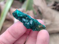 Natural Small Dioptase On Dolomite Specimens x 20 From Likasi, Congo