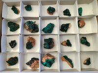 Natural Small Dioptase On Dolomite Specimens x 20 From Likasi, Congo