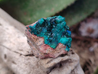 Natural Small Dioptase On Dolomite Specimens x 20 From Likasi, Congo