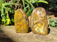 Polished Neolite Tigers Eye and Namibian Dessert Picture Stone Standing Free Forms x 3 From Prieska, South Africa - Toprock Gemstones and Minerals 