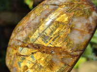 Polished Neolite Tigers Eye and Namibian Dessert Picture Stone Standing Free Forms x 3 From Prieska, South Africa - Toprock Gemstones and Minerals 