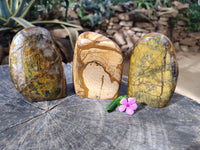 Polished Neolite Tigers Eye and Namibian Dessert Picture Stone Standing Free Forms x 3 From Prieska, South Africa - Toprock Gemstones and Minerals 