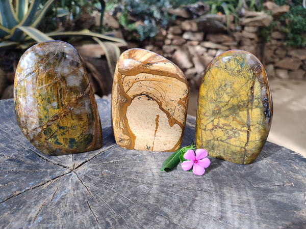 Polished Neolite Tigers Eye and Namibian Dessert Picture Stone Standing Free Forms x 3 From Prieska, South Africa