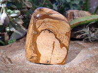 Polished Neolite Tigers Eye and Namibian Dessert Picture Stone Standing Free Forms x 3 From Prieska, South Africa - Toprock Gemstones and Minerals 