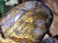 Polished Neolite Tigers Eye and Namibian Dessert Picture Stone Standing Free Forms x 3 From Prieska, South Africa - Toprock Gemstones and Minerals 