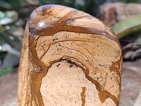 Polished Neolite Tigers Eye and Namibian Dessert Picture Stone Standing Free Forms x 3 From Prieska, South Africa - Toprock Gemstones and Minerals 