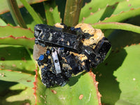 Natural Schorl Black Tourmaline on Orthoclase Specimens with some Hyalite Opal x 20 From Erongo, Namibia