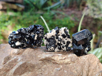 Natural Schorl Black Tourmaline on Orthoclase Specimens with some Hyalite Opal x 20 From Erongo, Namibia