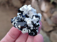 Natural Schorl Black Tourmaline on Orthoclase Specimens with some Hyalite Opal x 20 From Erongo, Namibia