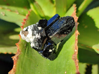 Natural Schorl Black Tourmaline on Orthoclase Specimens with some Hyalite Opal x 20 From Erongo, Namibia