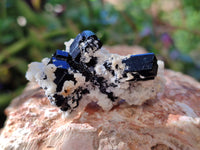 Natural Schorl Black Tourmaline on Orthoclase Specimens with some Hyalite Opal x 20 From Erongo, Namibia