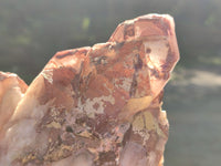 Natural Red Hematoid Quartz Clusters x 4 From Karoi, Zimbabwe