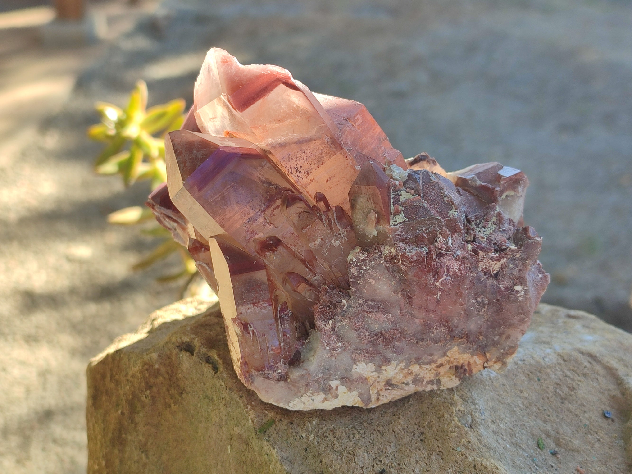 Natural Red Hematoid Quartz Clusters x 4 From Karoi, Zimbabwe - Toprock Gemstones and Minerals 