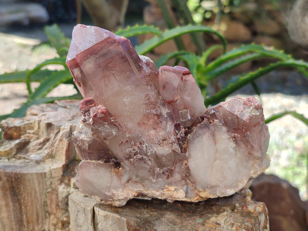 Natural Red Hematoid Quartz Clusters x 4 From Karoi, Zimbabwe - Toprock Gemstones and Minerals 