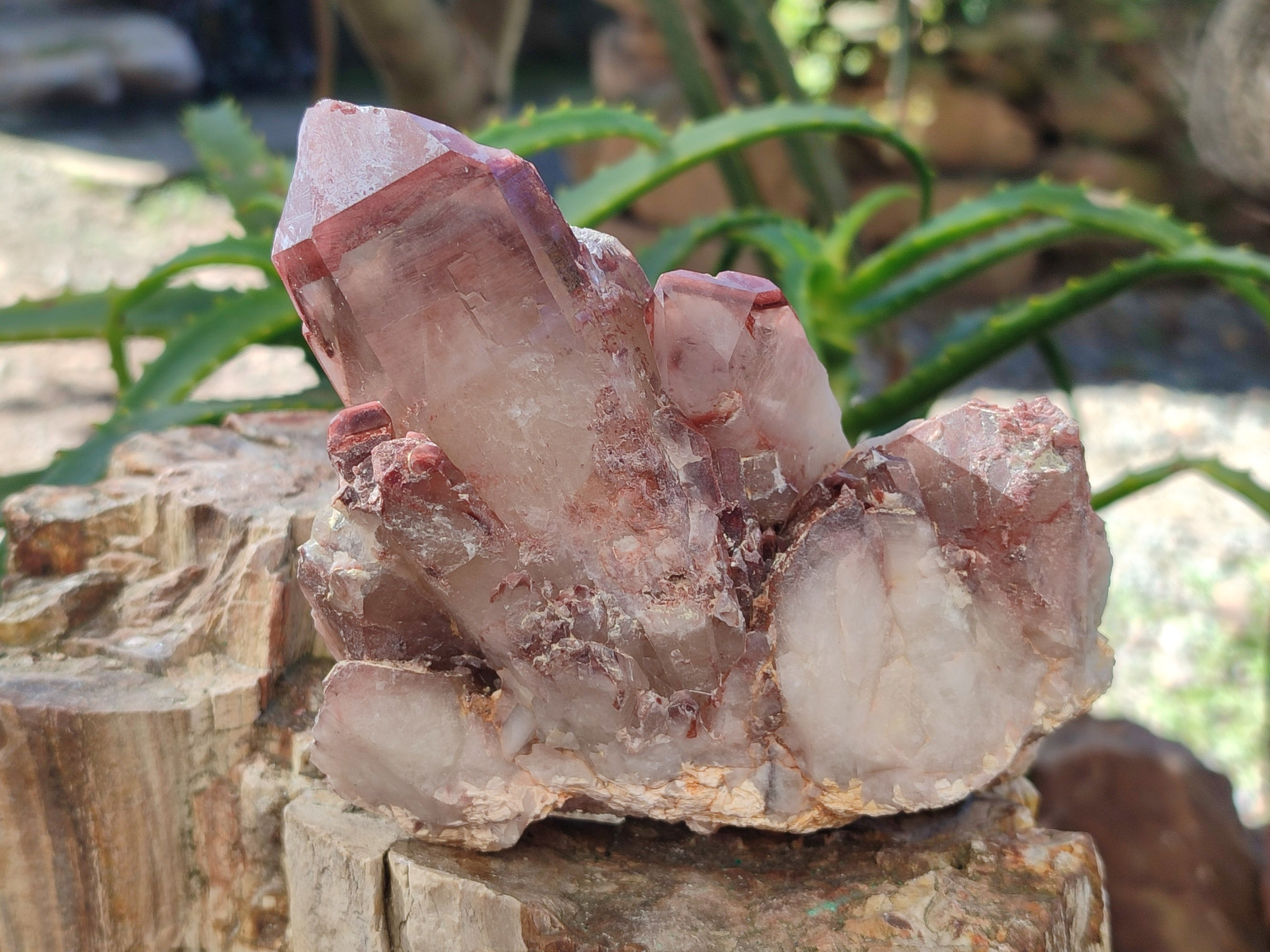 Natural Red Hematoid Quartz Clusters x 4 From Karoi, Zimbabwe - Toprock Gemstones and Minerals 
