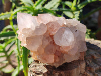 Natural White Cactus Spirit Quartz Clusters x 4 From South Africa - Toprock Gemstones and Minerals 