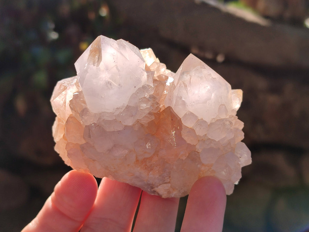 Natural White Cactus Spirit Quartz Clusters x 4 From South Africa - Toprock Gemstones and Minerals 