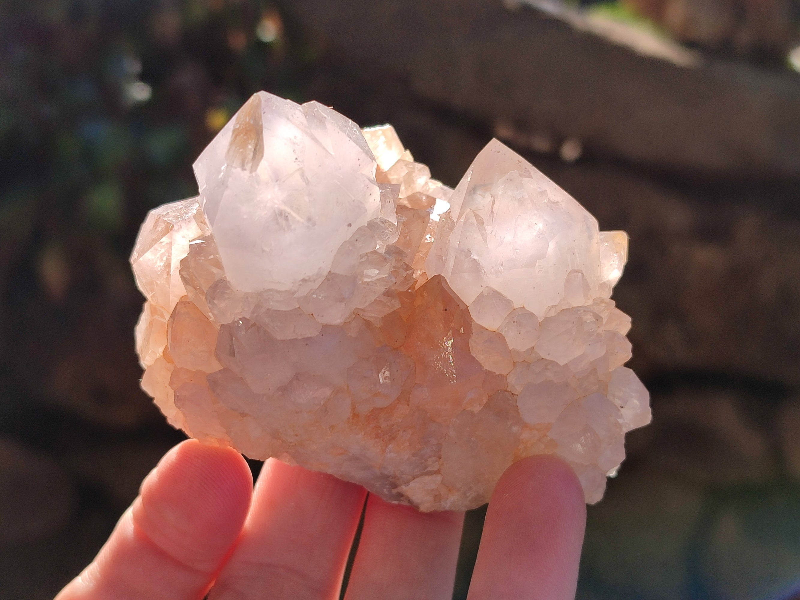 Natural White Cactus Spirit Quartz Clusters x 4 From South Africa - Toprock Gemstones and Minerals 
