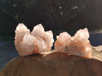 Natural White Cactus Spirit Quartz Clusters x 4 From South Africa - Toprock Gemstones and Minerals 