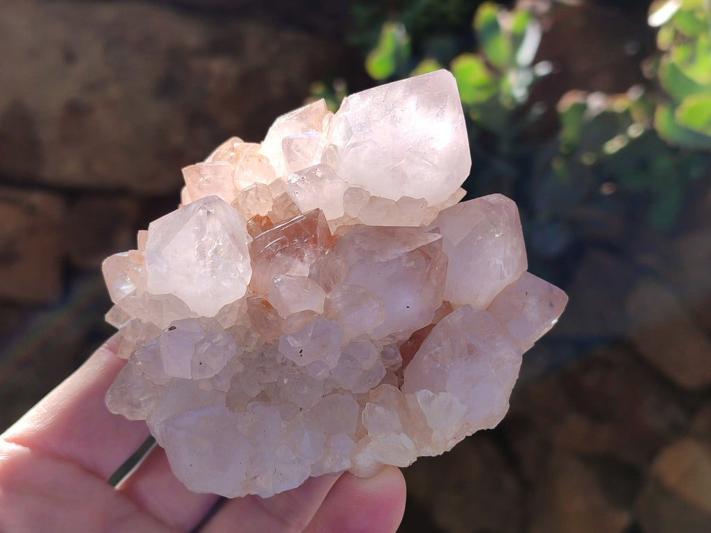 Natural White Cactus Spirit Quartz Clusters x 4 From South Africa - Toprock Gemstones and Minerals 