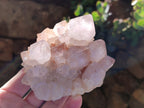 Natural White Cactus Spirit Quartz Clusters x 4 From South Africa - Toprock Gemstones and Minerals 