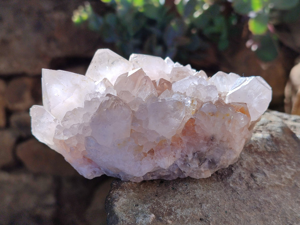 Natural White Cactus Spirit Quartz Clusters x 4 From South Africa - Toprock Gemstones and Minerals 