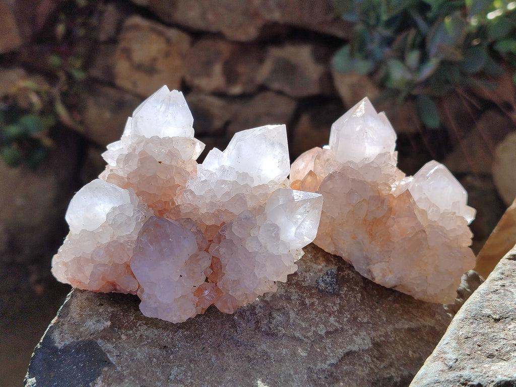 Natural White Cactus Spirit Quartz Clusters x 4 From South Africa - Toprock Gemstones and Minerals 