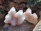 Natural White Cactus Spirit Quartz Clusters x 4 From South Africa - Toprock Gemstones and Minerals 