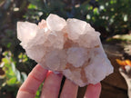 Natural White Cactus Spirit Quartz Clusters x 4 From South Africa - Toprock Gemstones and Minerals 