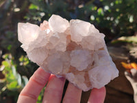 Natural White Cactus Spirit Quartz Clusters x 4 From South Africa - Toprock Gemstones and Minerals 