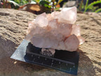 Natural White Cactus Spirit Quartz Clusters x 4 From South Africa - Toprock Gemstones and Minerals 