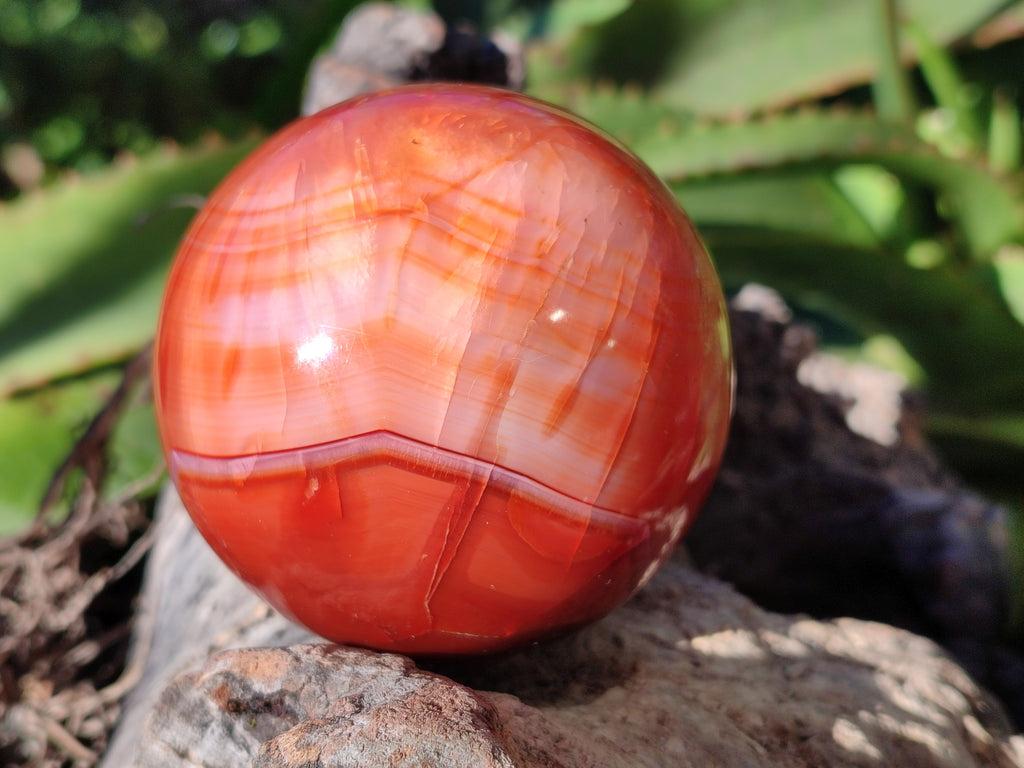 Polished Carnelian Agate Spheres x 3 From Madagascar - Toprock Gemstones and Minerals 