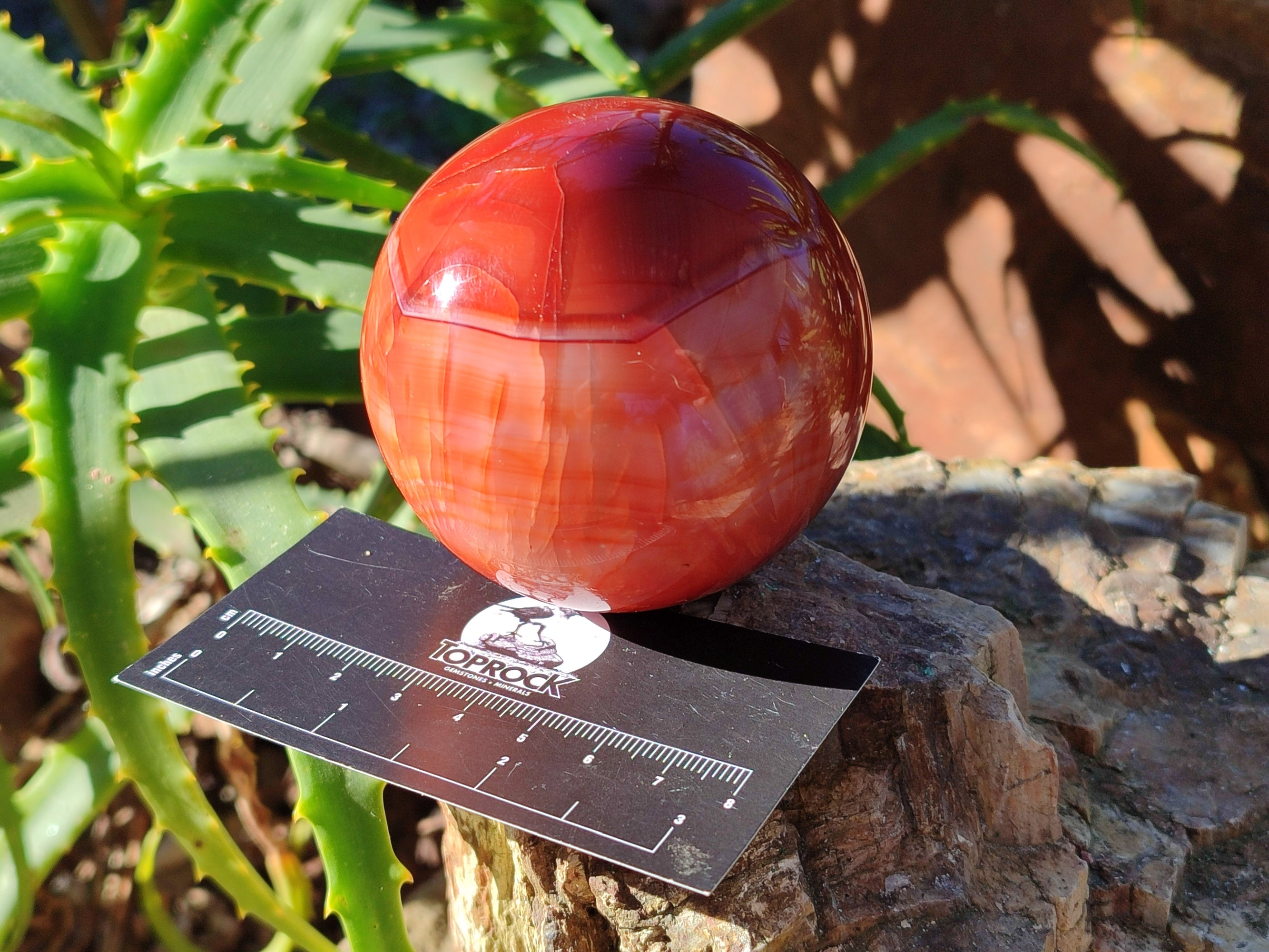 Polished Carnelian Agate Spheres x 3 From Madagascar - Toprock Gemstones and Minerals 