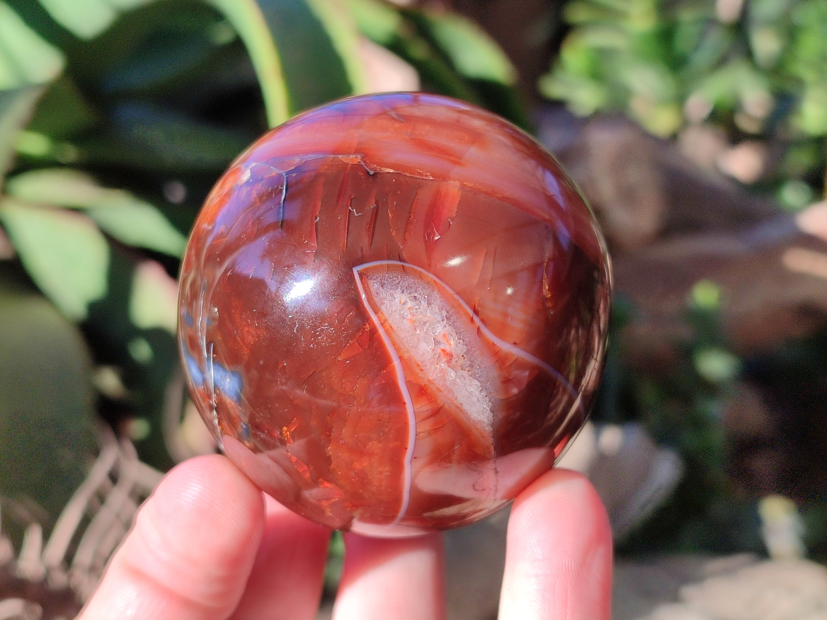 Polished Carnelian Agate Spheres x 3 From Madagascar - Toprock Gemstones and Minerals 