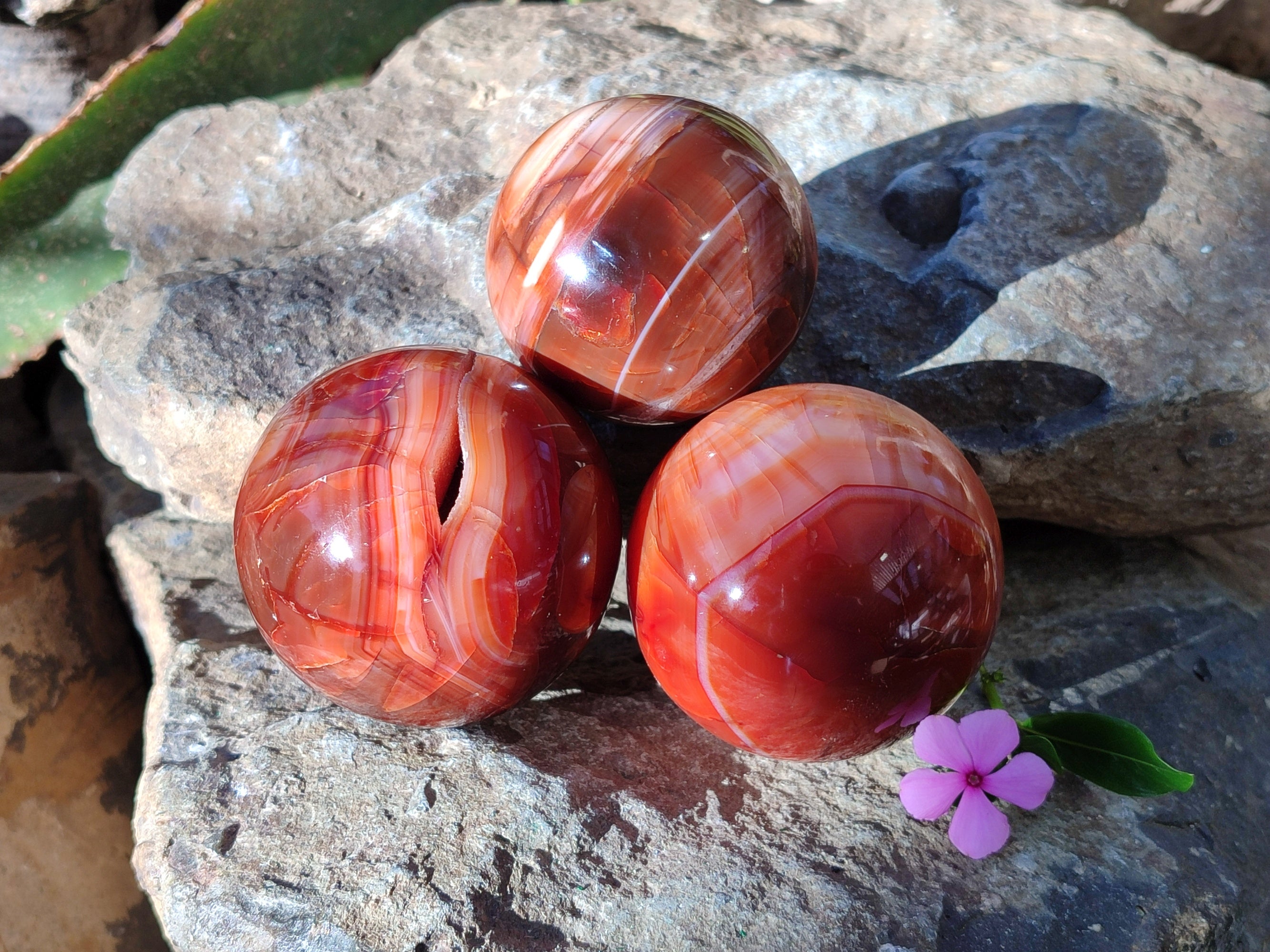 Polished Carnelian Agate Spheres x 3 From Madagascar - Toprock Gemstones and Minerals 
